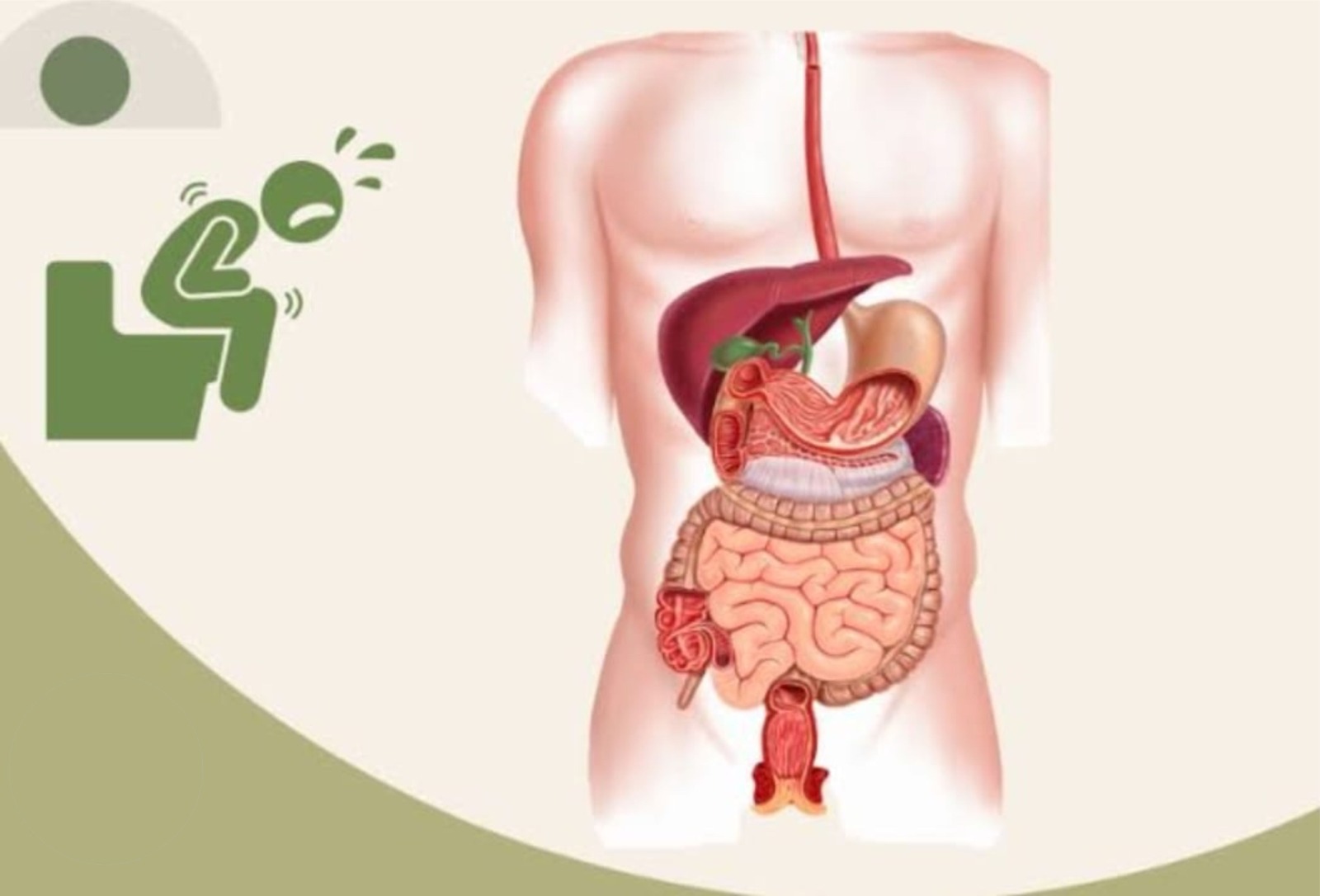 Best Ayurvedic clinic in Navrangpura
