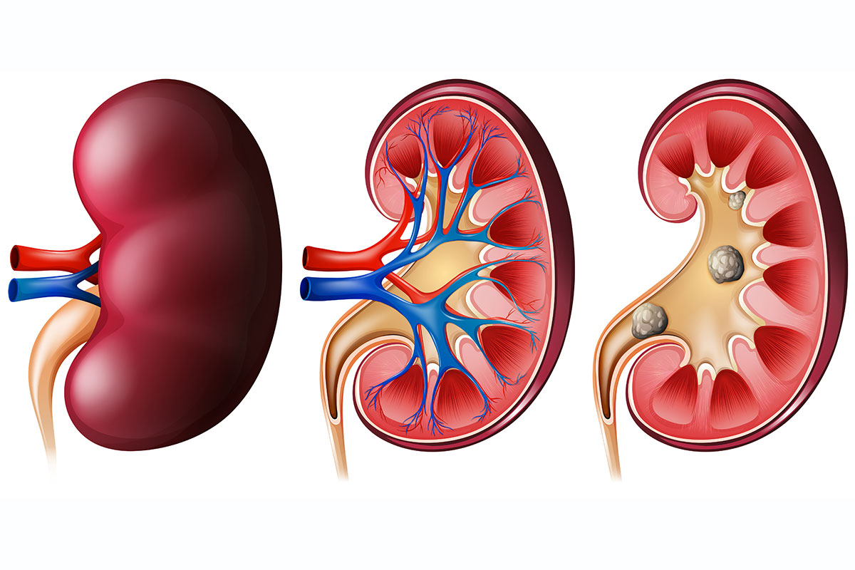 Ayurveda for joint pain Ahmedabad
